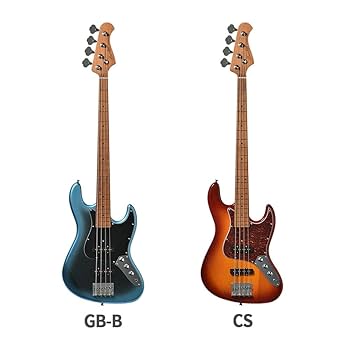 Amazon | Bacchus WJB-1DX RSM/M ベース初心者12点セット 【充電